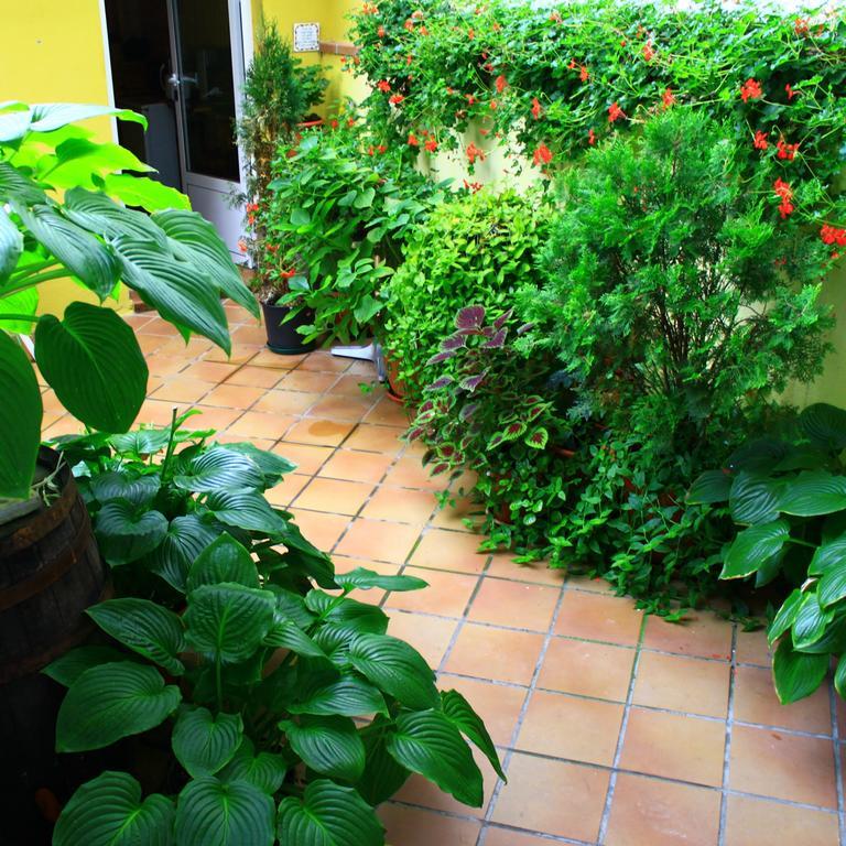 Hostal Escartin Sabiñánigo Exterior foto
